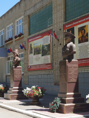 Царева Дарья Владимировна
